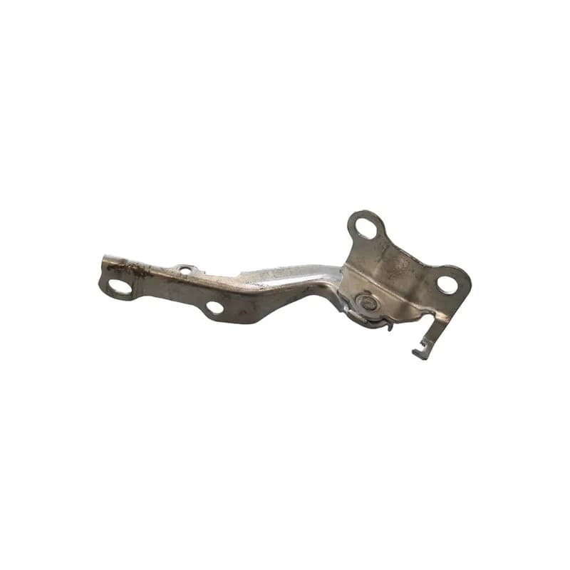 لولای کاپوت راست راین V5