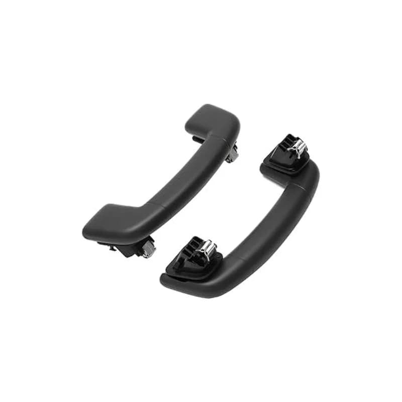 دستگیره سقفی عقب اس دبلیو ام SWM G01