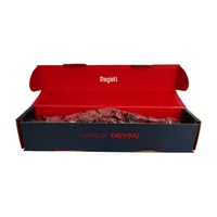 کمک فنر عقب چپ لیفان 620 رگتی